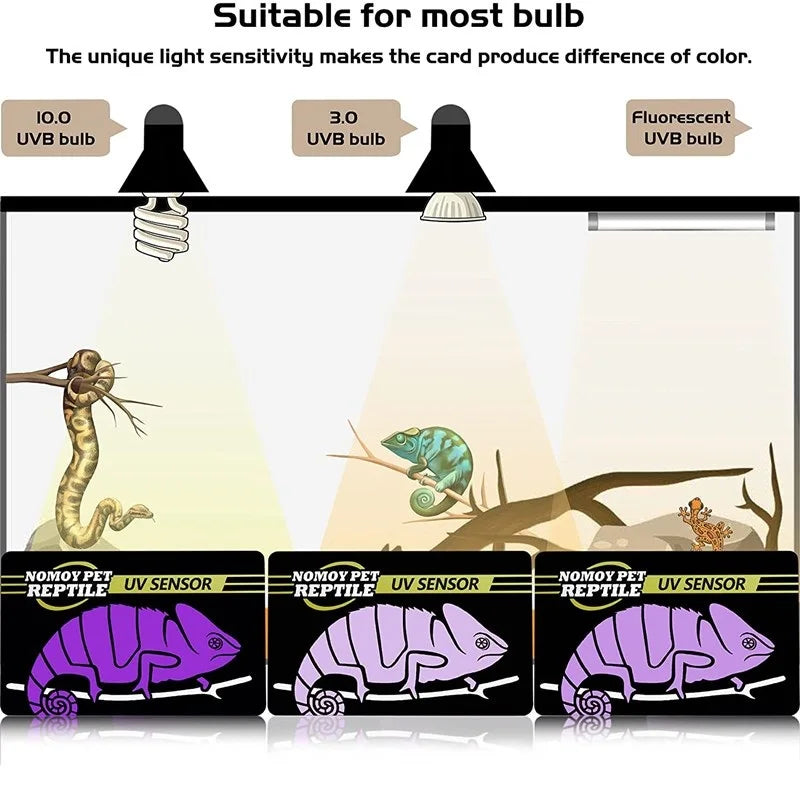 Test Card - UV Light Lamps for Reptile Terrarium