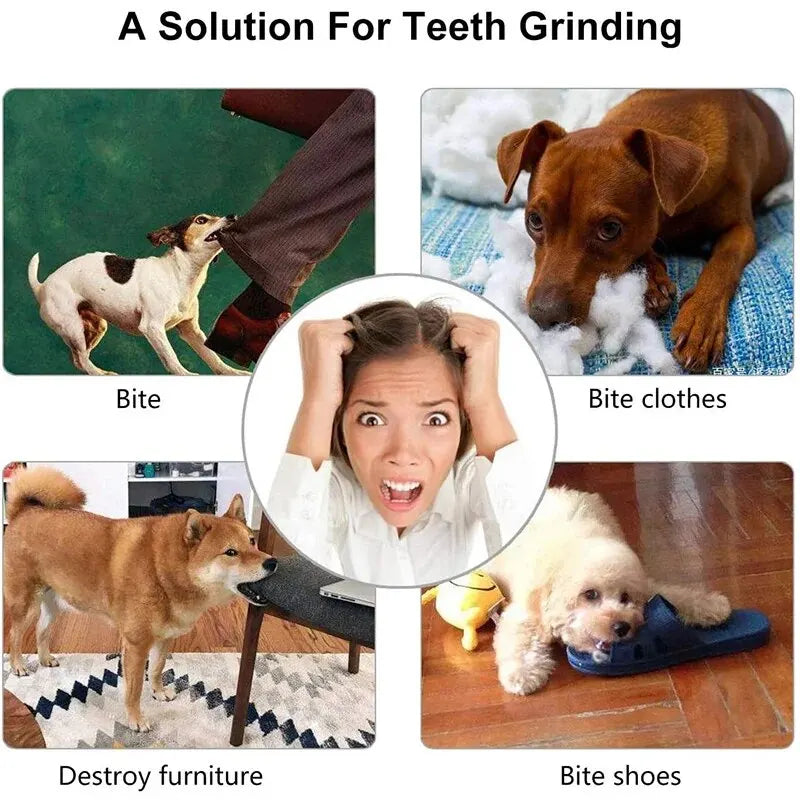 Bite-Resistant Chewing Ball Feeder