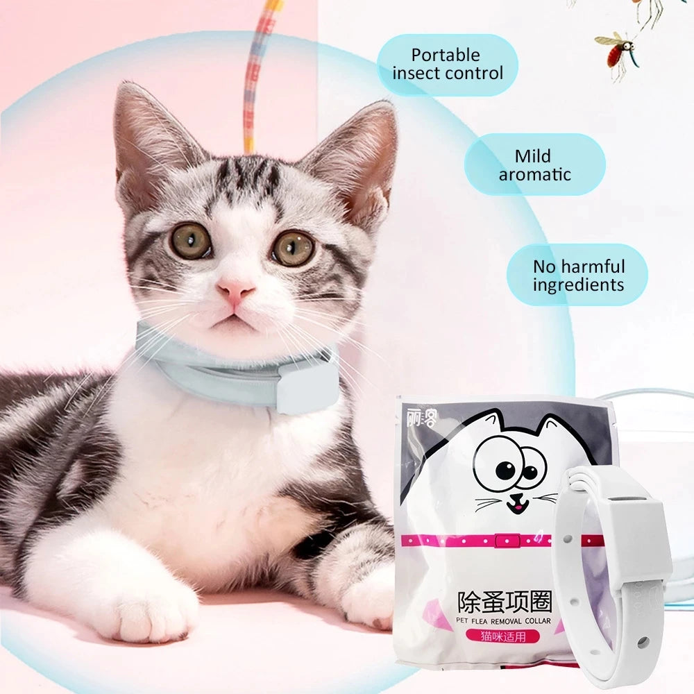 Anti-Flea & Tick Collar for Cats and Small Dogs