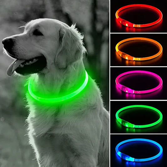 Luminous LED Dog Collar: USB Rechargeable Safety Accessory for Dogs! - PetPlanet