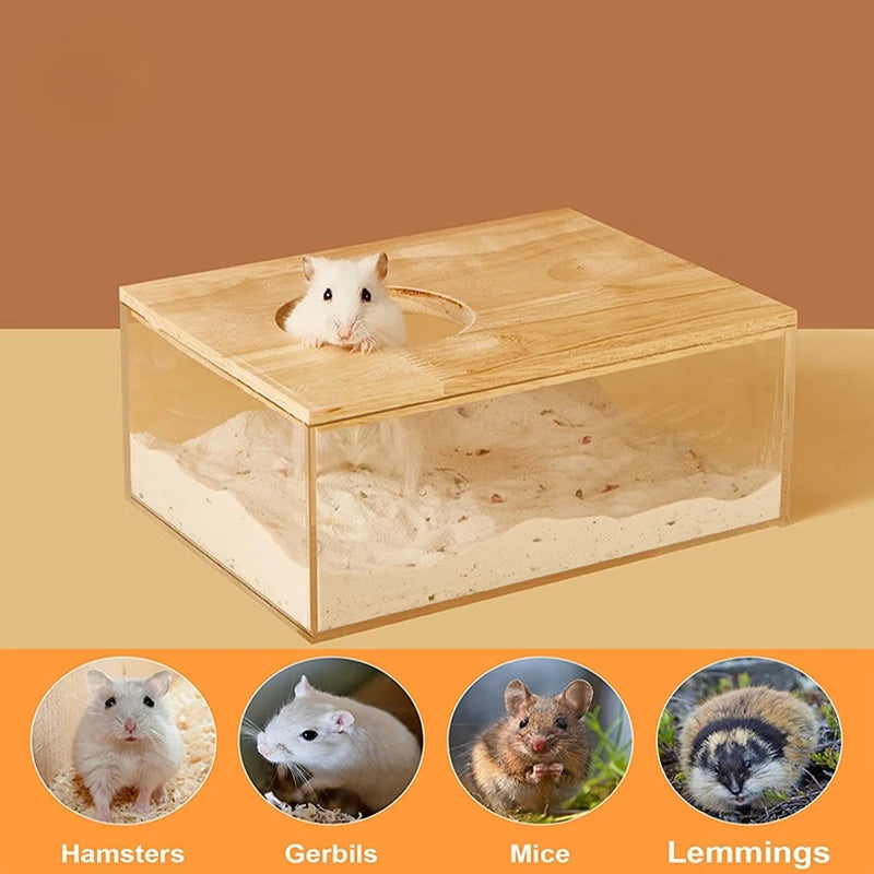 Transparent Sand Bath Container for Small Pets