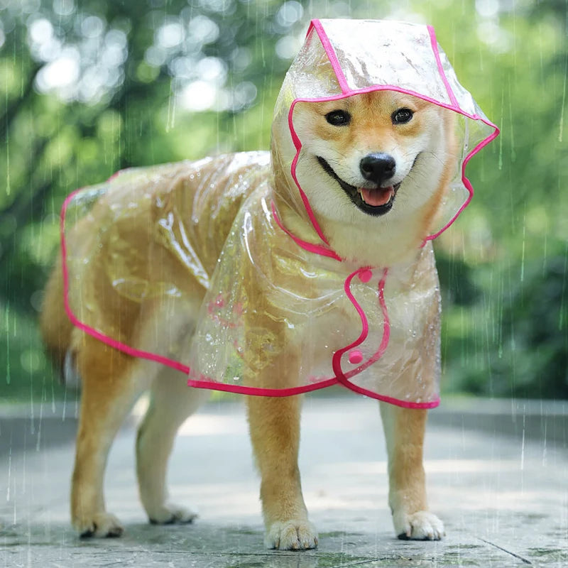 Transparent Dog Raincoat - Transparent Hooded Waterproof Jacket for Dogs - PetPlanet