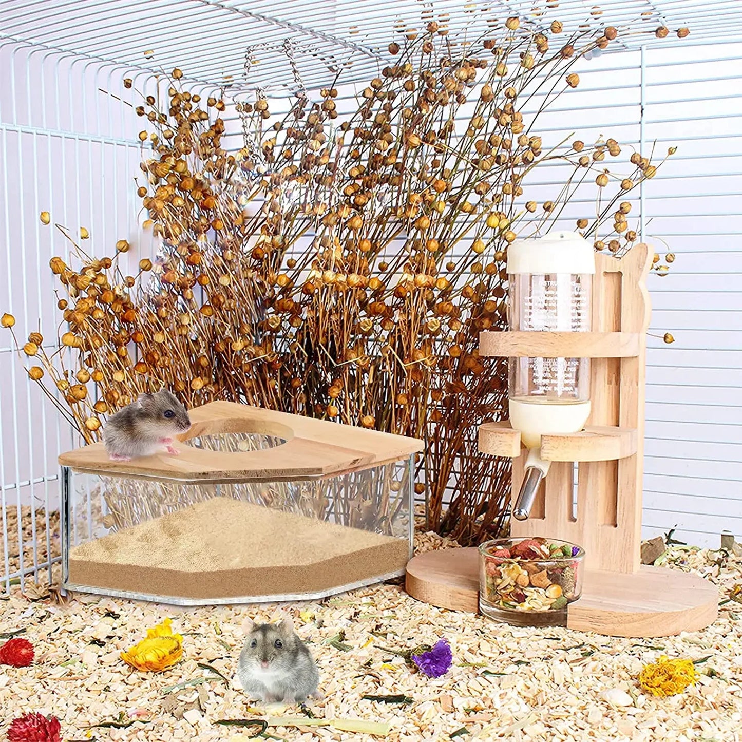 Transparent Sand Bath Container for Small Pets