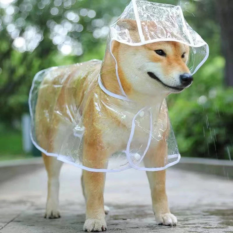 Transparent Dog Raincoat - Transparent Hooded Waterproof Jacket for Dogs - PetPlanet