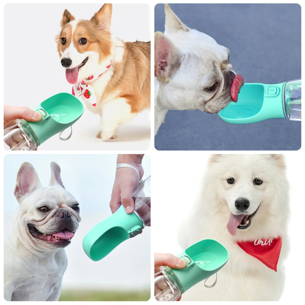 Leakproof Portable Dog Water Bottle: Ideal for Outdoor Adventures - PetPlanet