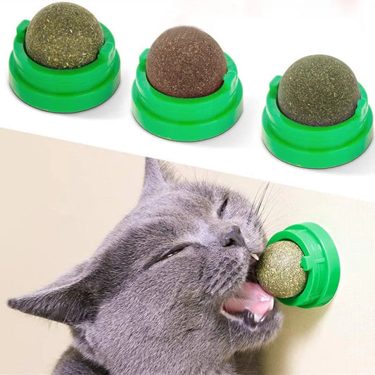 Natural Catnip Stick-on Ball – Fun & Healthy Treat for Cats