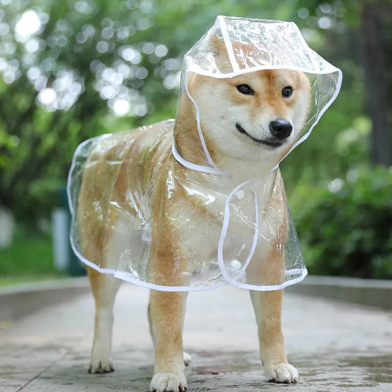 Transparent Dog Raincoat - Transparent Hooded Waterproof Jacket for Dogs - PetPlanet