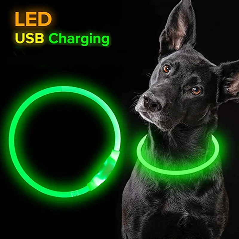 Luminous LED Dog Collar: USB Rechargeable Safety Accessory for Dogs! - PetPlanet