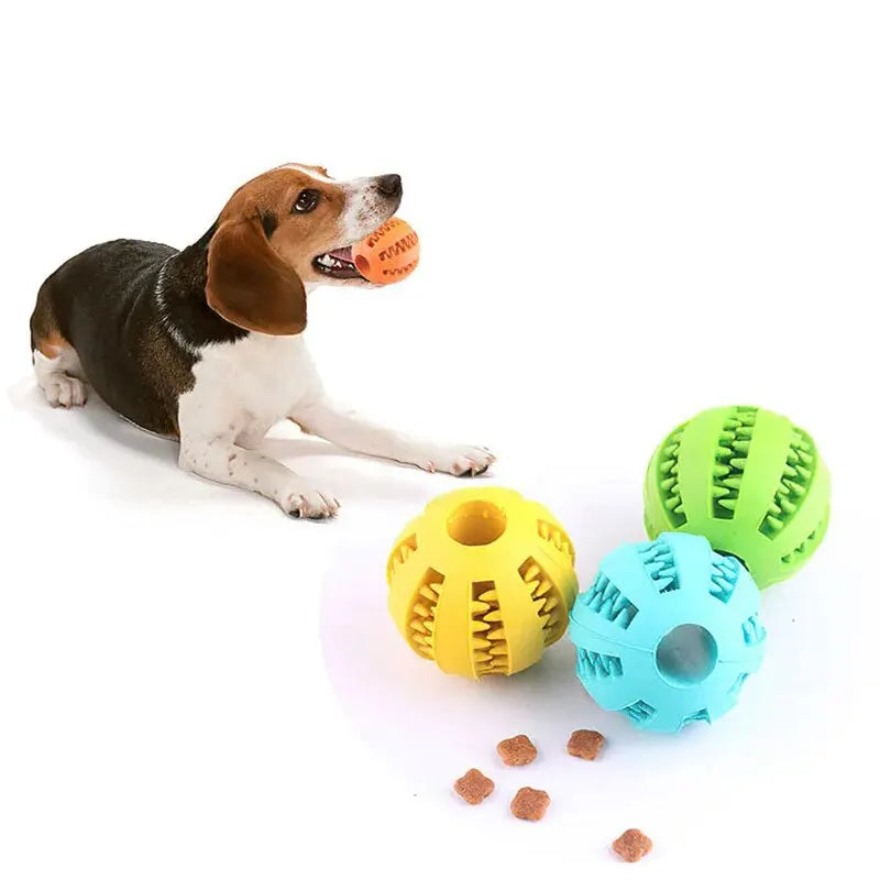 Bite-Resistant Chewing Ball Feeder