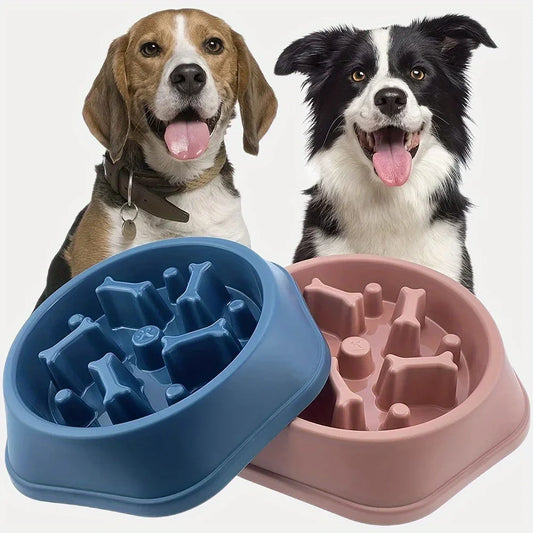 Slow Feeder Bowl for Dogs & Cats