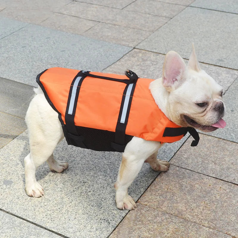 Reflective Summer Dog Life Vest: Safety and Style for Pups! - PetPlanet