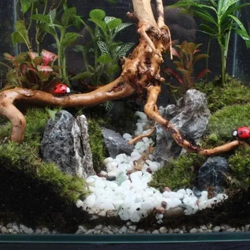 Natural Driftwood Aquarium Decoration – Tree Trunk Wood Ornament for Fish Tanks