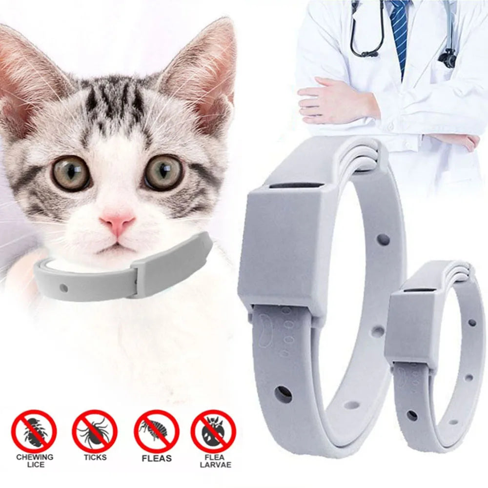 Anti-Flea & Tick Collar for Cats and Small Dogs