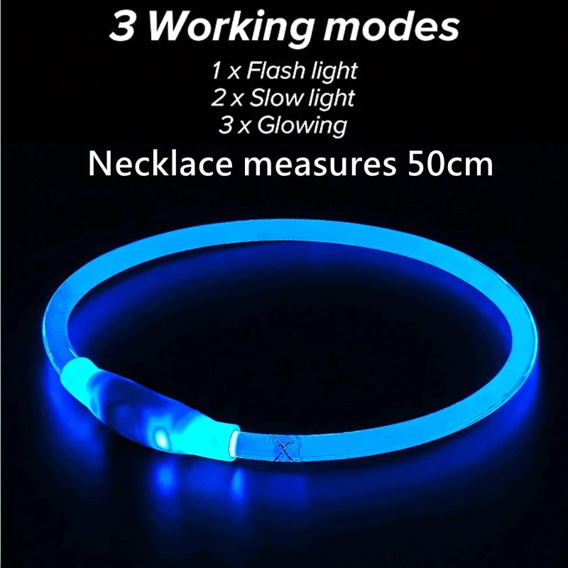 Luminous LED Dog Collar: USB Rechargeable Safety Accessory for Dogs! - PetPlanet