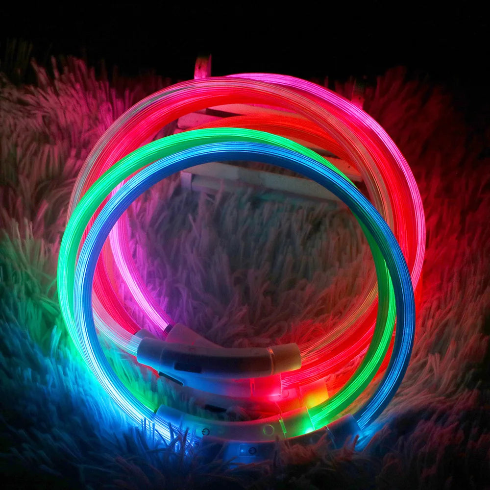 Luminous LED Dog Collar: USB Rechargeable Safety Accessory for Dogs! - PetPlanet