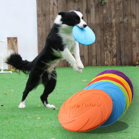 Bite-Resistant Flying Disc – Durable Outdoor Fun for Dogs