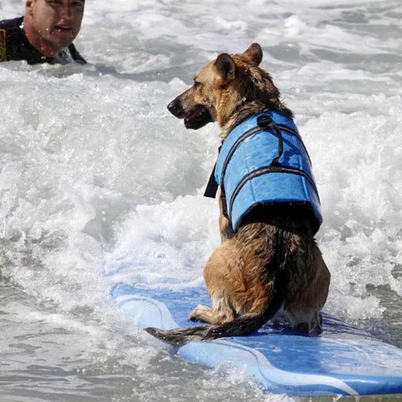 Reflective Summer Dog Life Vest: Safety and Style for Pups! - PetPlanet